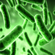 Illustration for article titled A Remote Amazonian Tribe Harbors Unprecedented Microbial Diversity